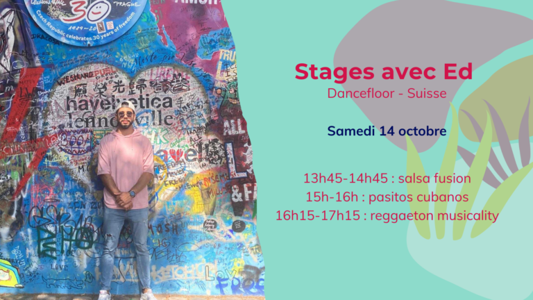 Stages avec Ed (Dancefloor – Suisse)